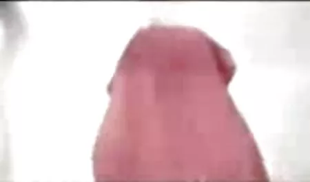 Beyaz sıkı olgunsexizle kedi büyük siyah horoz için hazır
